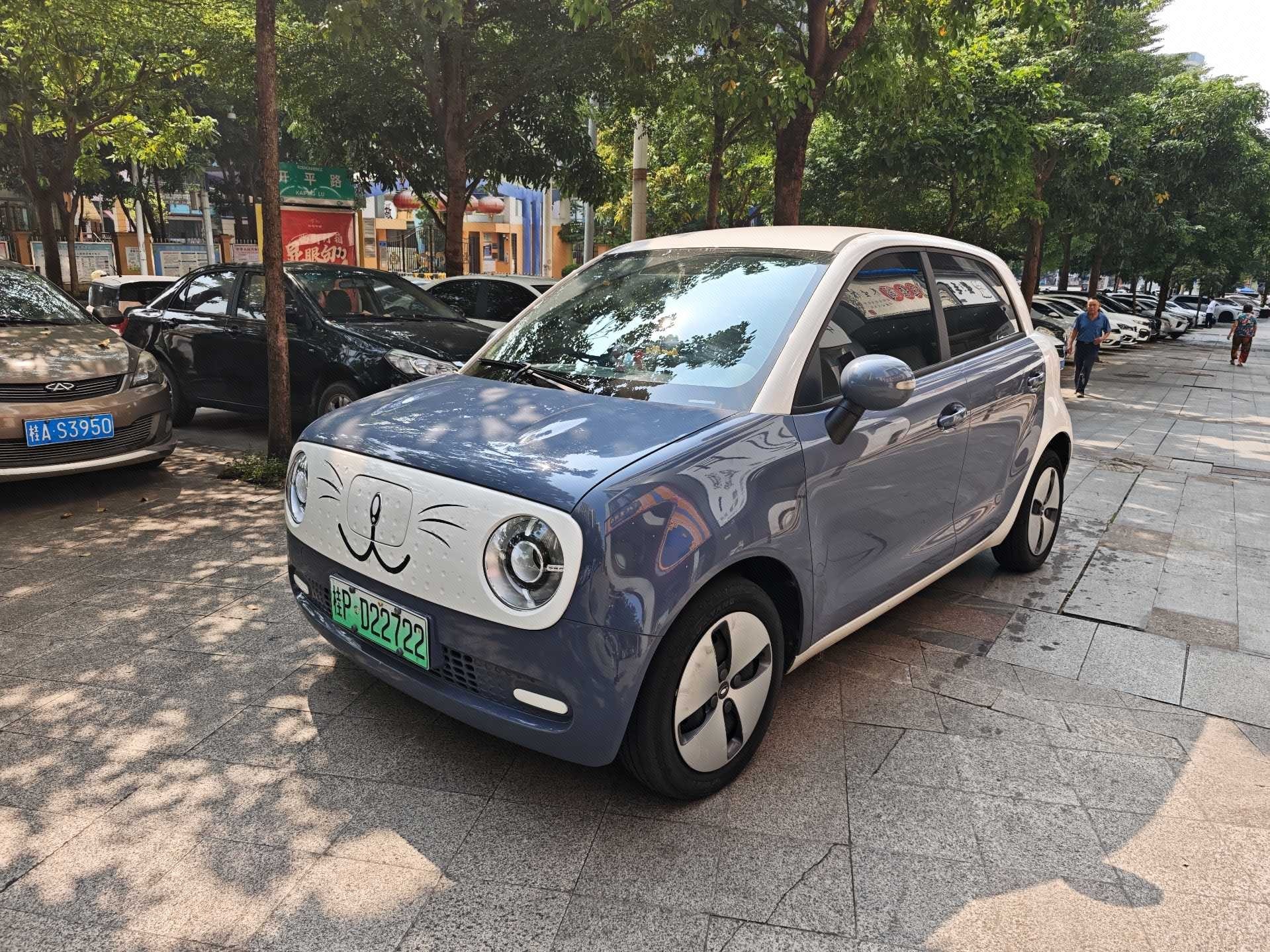 ORA 2022 R1 (Black Cat) 301km Base Model