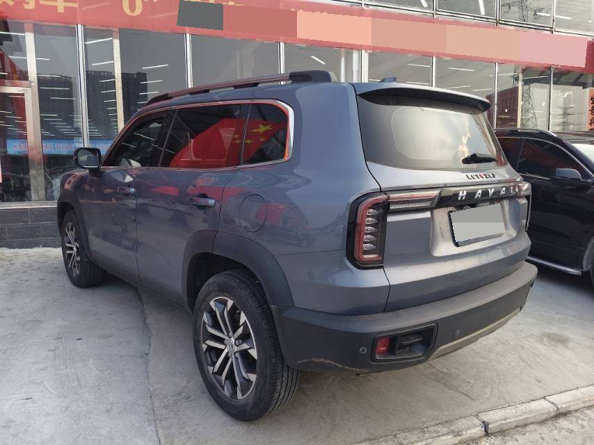 Foto del Haval Dargo Big Dog 1.5T Border Collie “Wang Cai” Edition 4