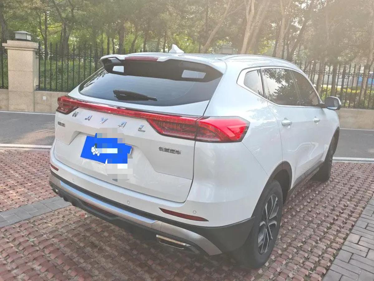 Haval H6 1.5T National Trend Edition Urban Edition photo 3