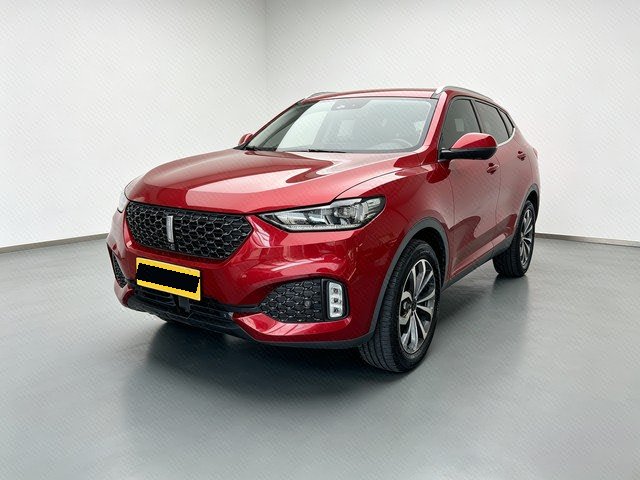 WEY 2020 VV6 2.0T Two-Wheel-Drive Zhixiang+