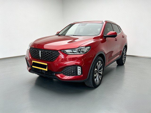 WEY 2020 VV6 2.0T Two-Wheel-Drive Zhixiang+