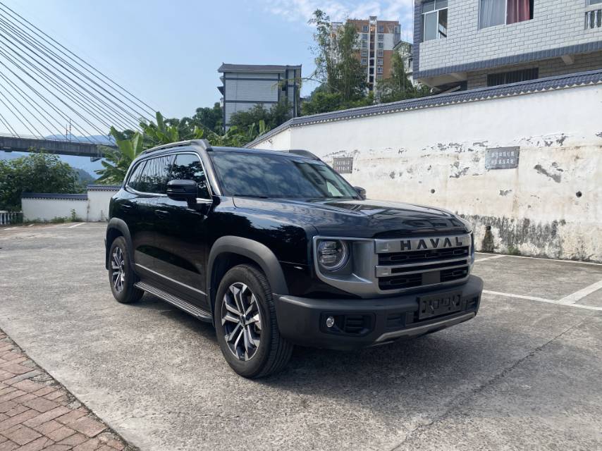 Foto del Haval Dargo Big Dog 1.5T Border Collie Edition 3