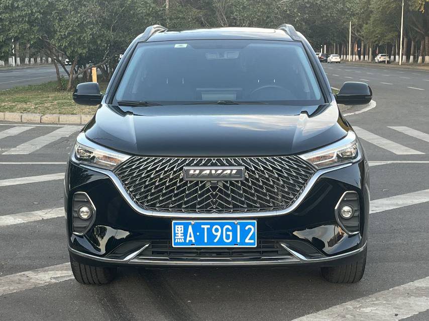 Haval M6 PLUS 1.5T Luxury Smart Connectivity Version fotoğraf 3