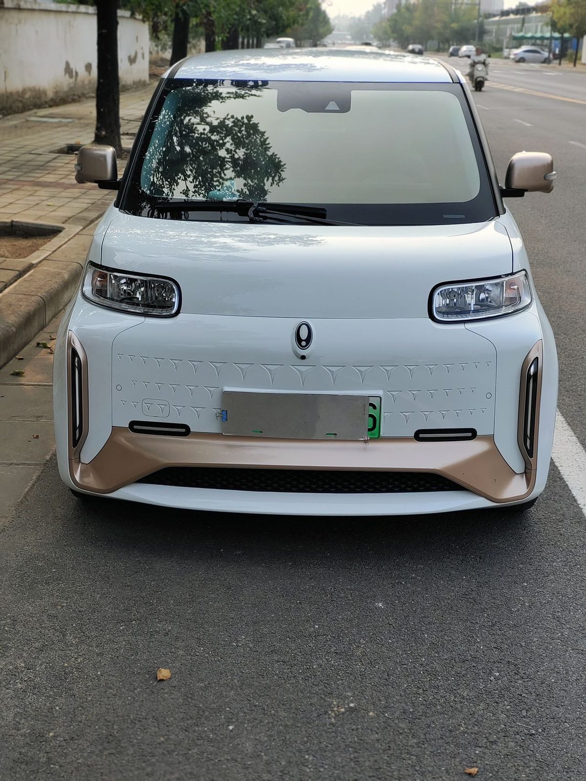 Фото ORA R2 (White Cat) Little Wildcat Edition 401km Flagship Model — 2