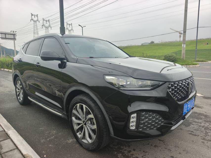 WEY VV6 2.0T Two-Wheel-Drive Zhixiang+ foto 3