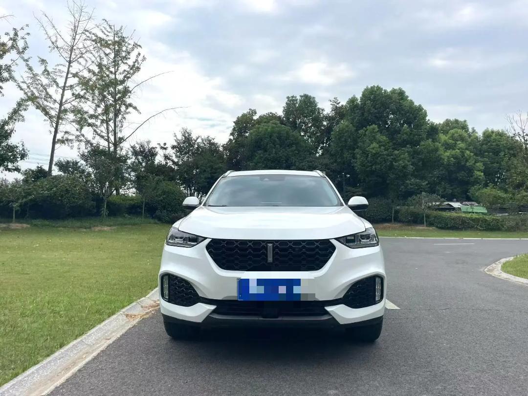 WEY VV6 2.0T Four-Wheel-Drive Flagship Model fotoğraf 2