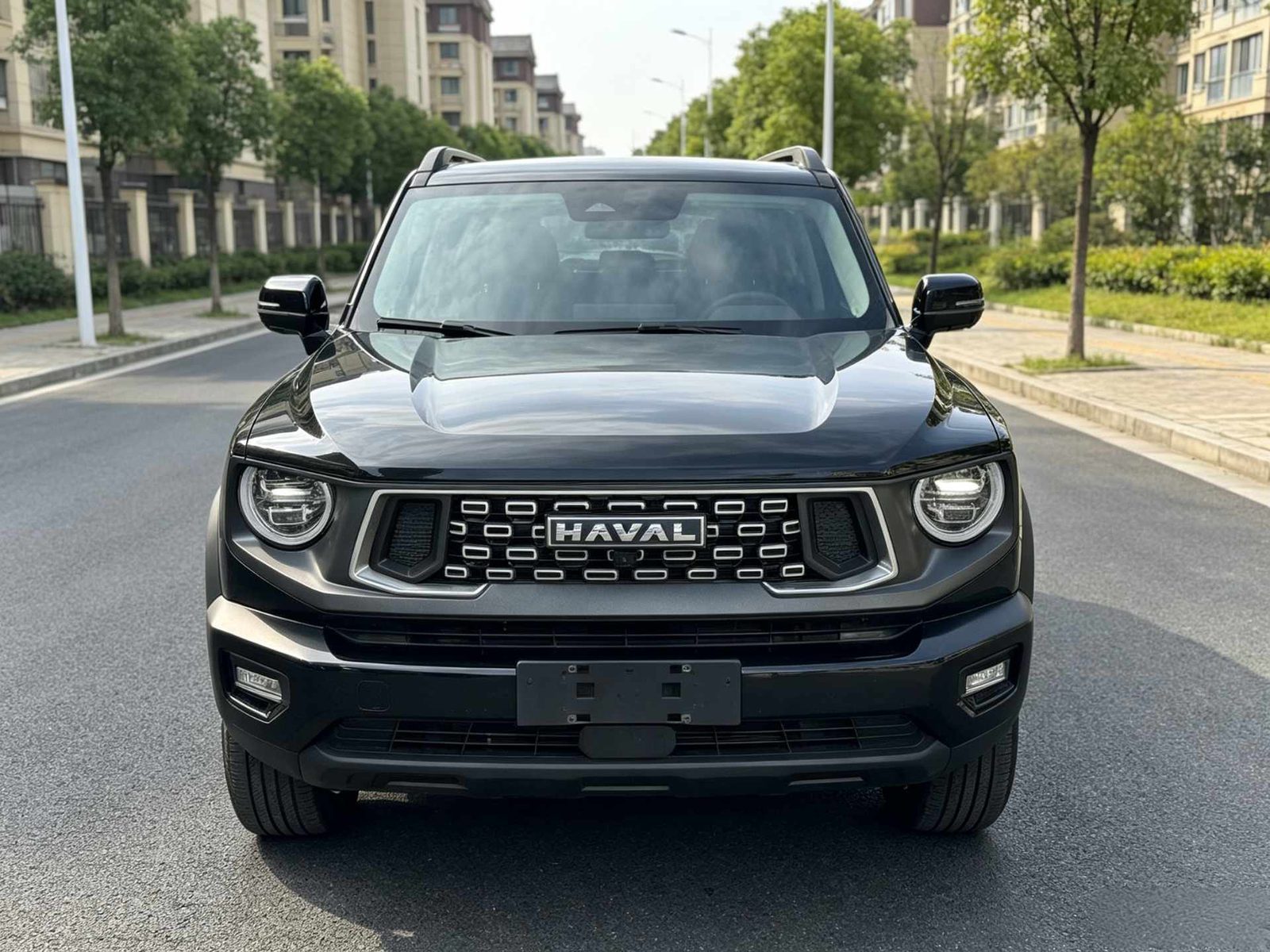 Haval Dargo Big Dog 2.0T Four-Wheel Drive Trendy Off-Road Plus photo 2