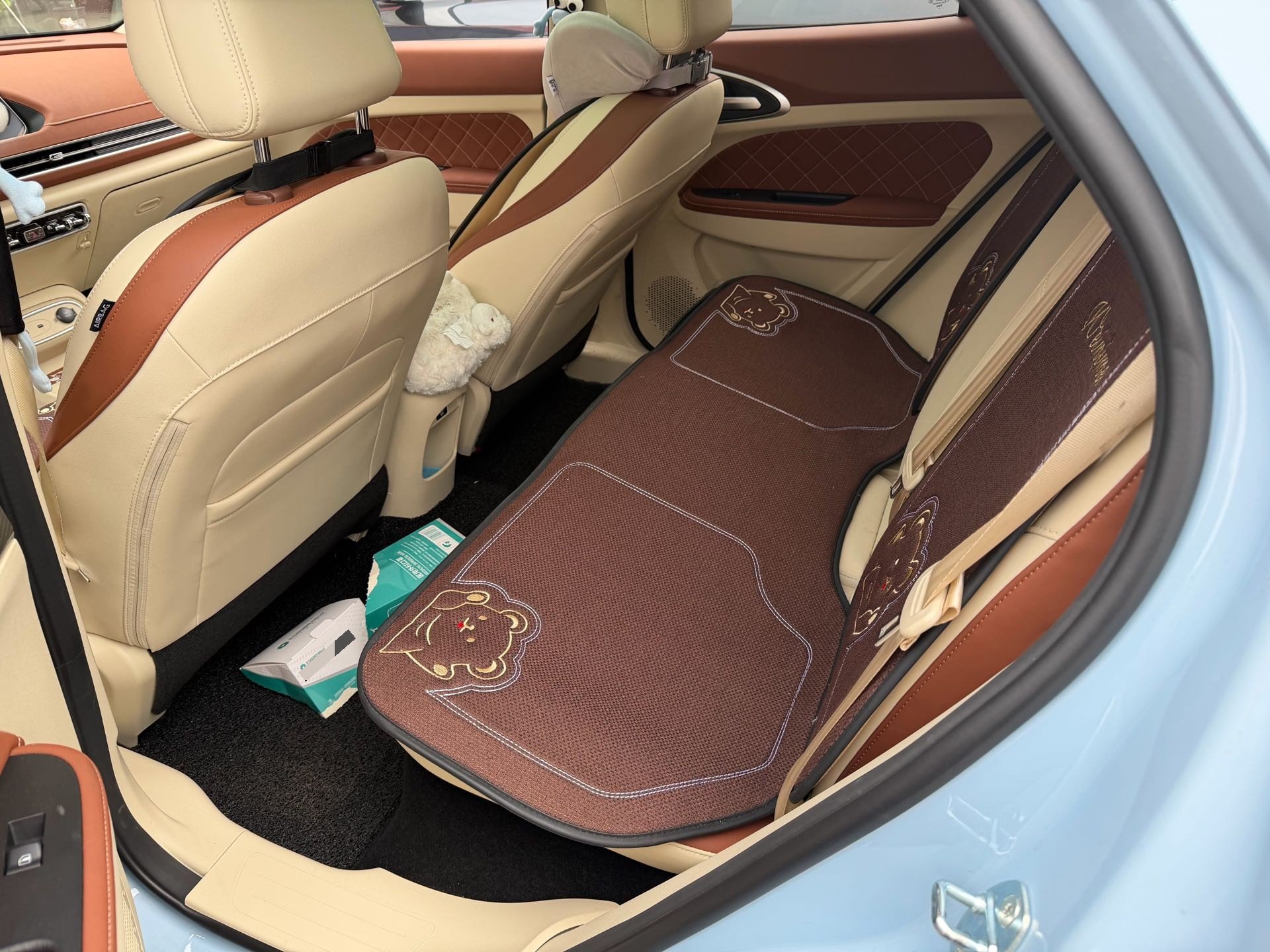 Фото ORA Good Cat 401 km Standard Range Prestige Model – Ternary Lithium — 3