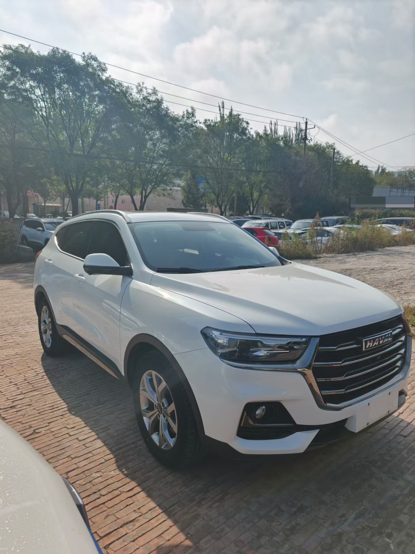 Haval 2021 H6 1.5T Sport Edition Elite Smart Connect Hexagonal Grille photo 2