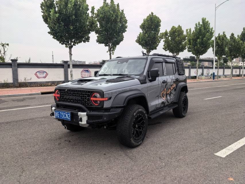 TANK 2021 Tank 300 2.0T Off-Road Edition Conqueror