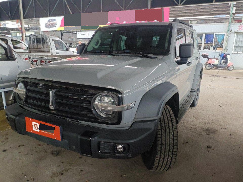 TANK 2021 Tank 300 2.0T Off-Road Edition Conqueror