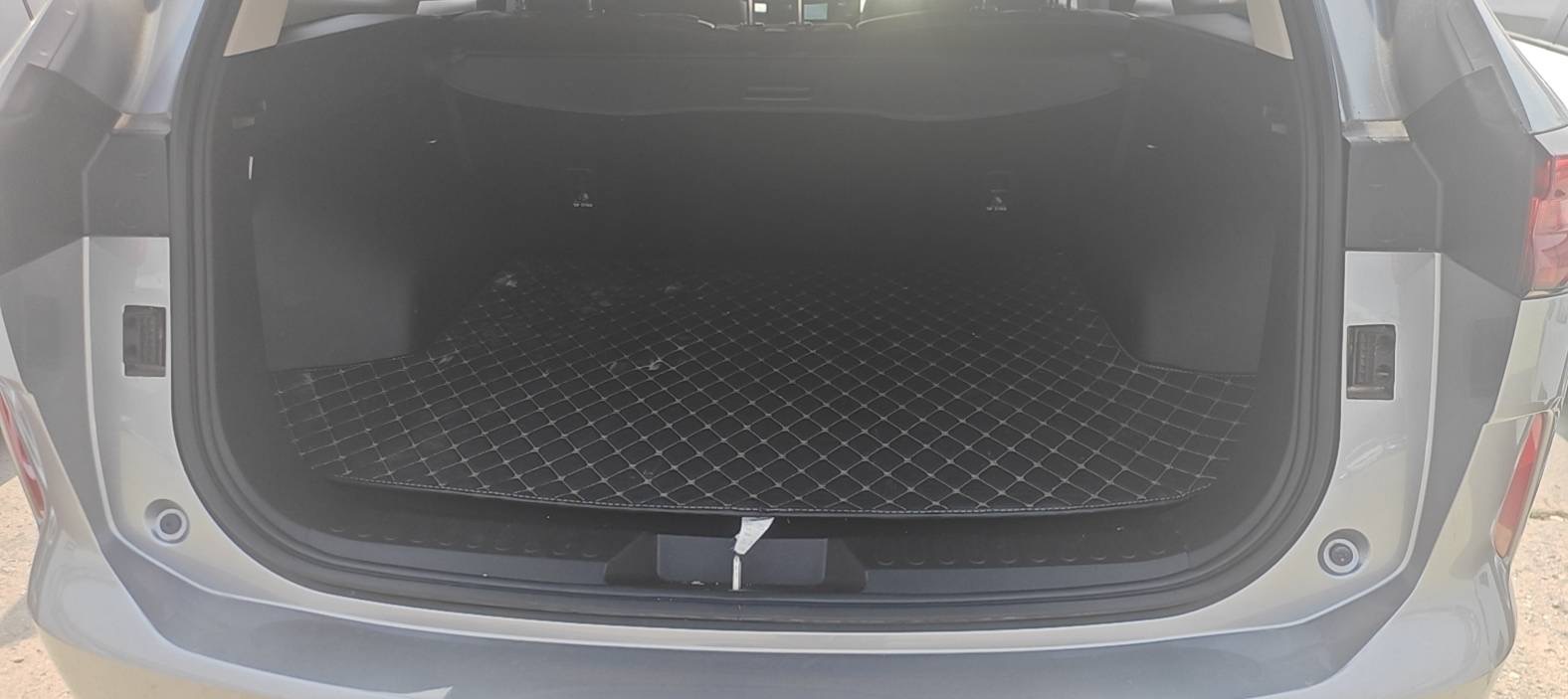 Haval H6 1.5T 2WD Max fotoğraf 5