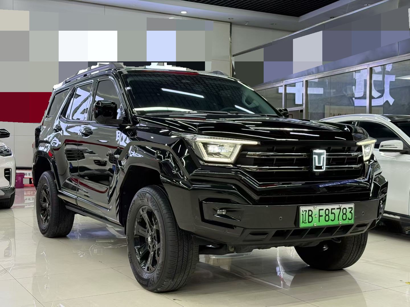 صورة TANK 2024 Tank 400 Hi4-T 2.0T Off-Road Version رقم 3