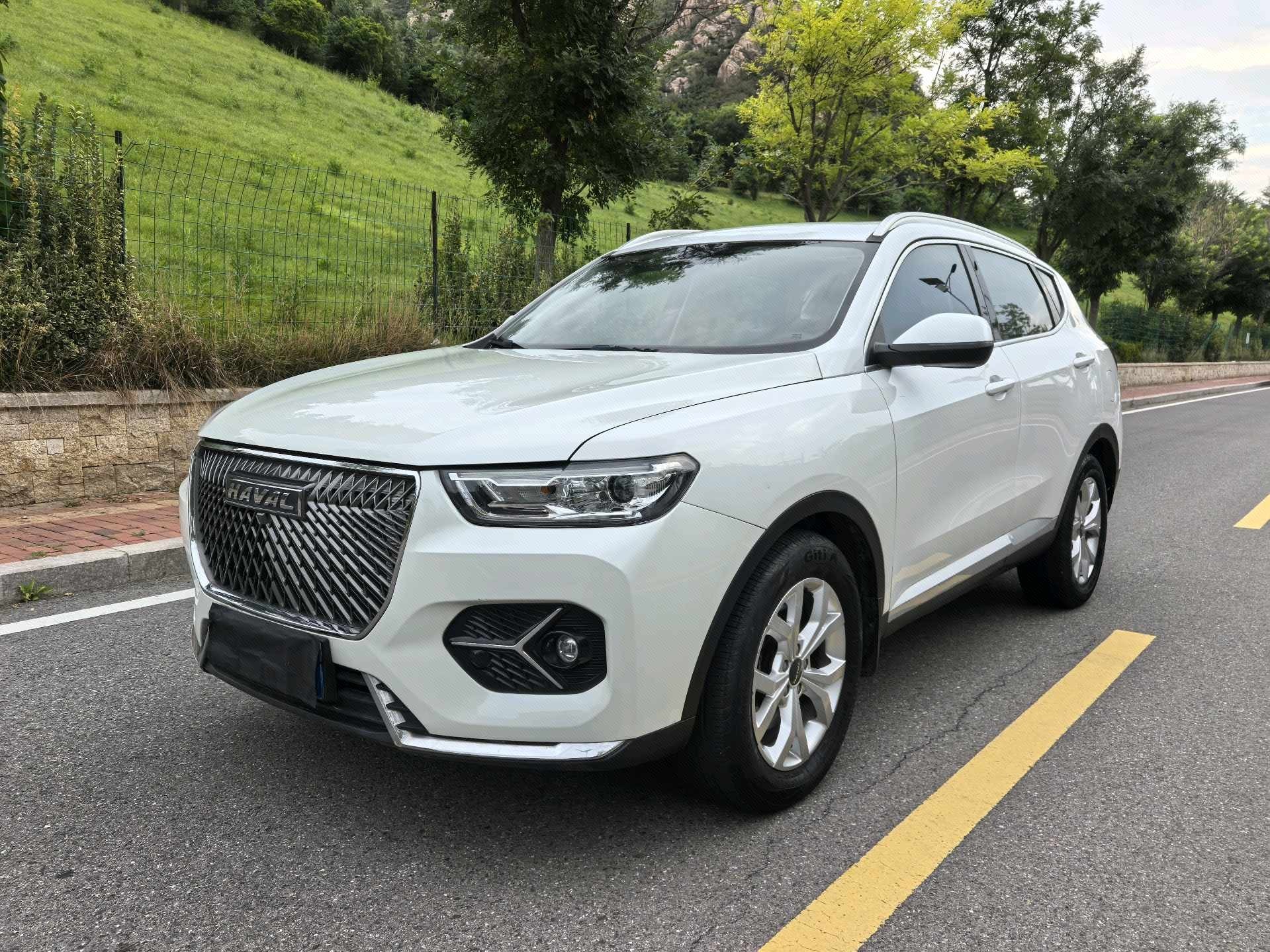 Haval 2021 H6 1.5T National Trend Edition Champion Edition