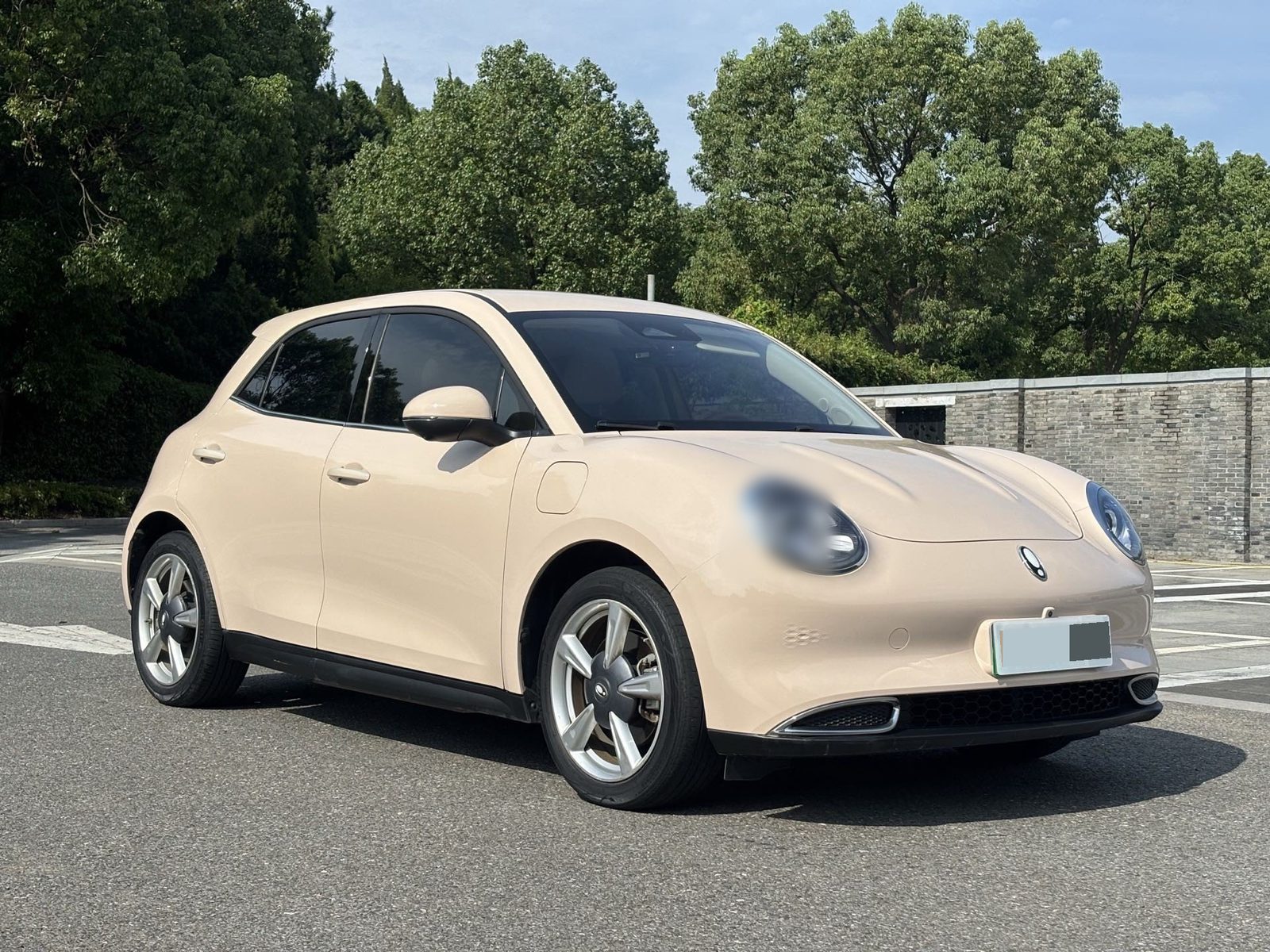 ORA Good Cat 401 km Standard Range Luxury Model – Lithium Iron Phosphate photo 2