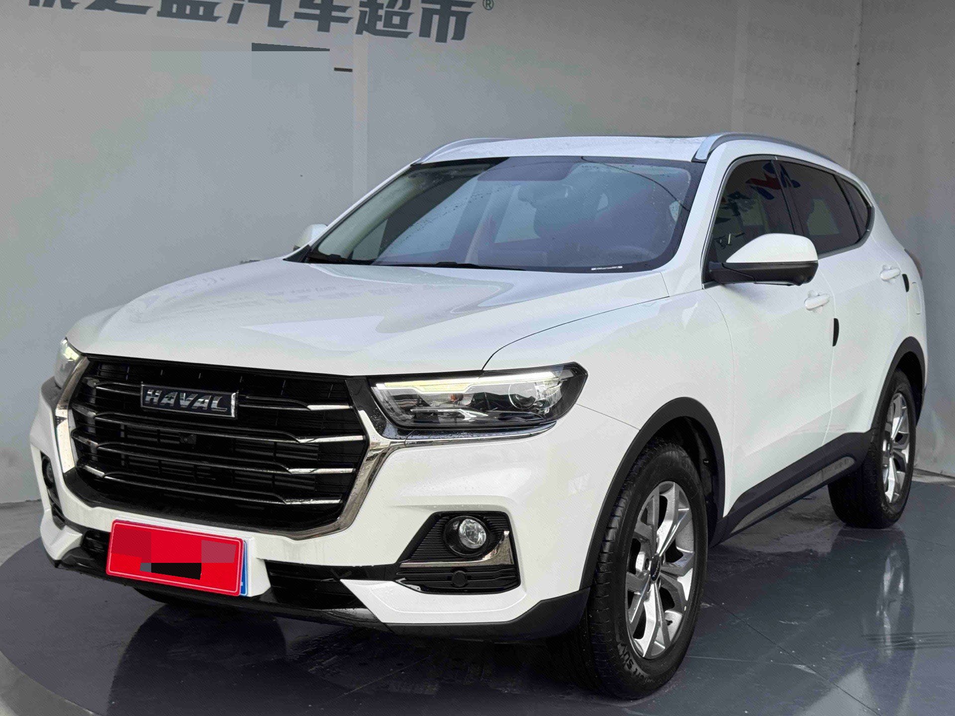 Haval 2021 H6 1.5T National Trend Edition Champion Edition
