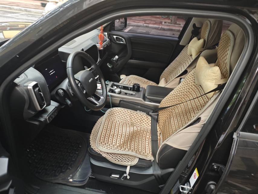 صورة Haval Dargo Big Dog 1.5T Labrador Edition رقم 3