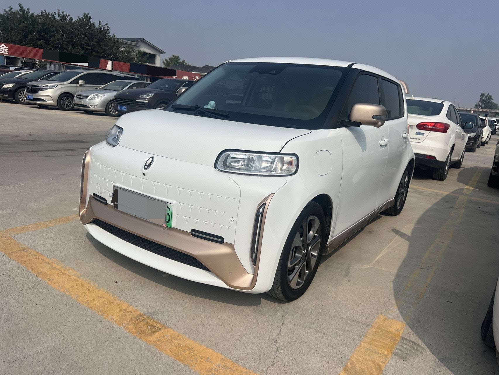 ORA 2022 R2 (White Cat) Little Wildcat Edition 401km Flagship Model