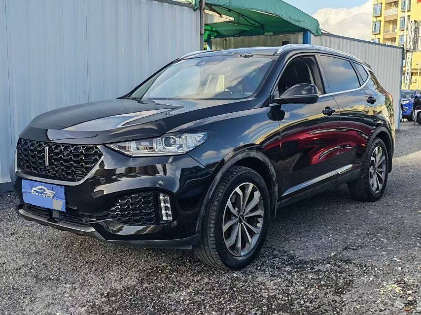 WEY 2019 VV6 2.0T Two-Wheel-Drive Ultra-Luxury Model
