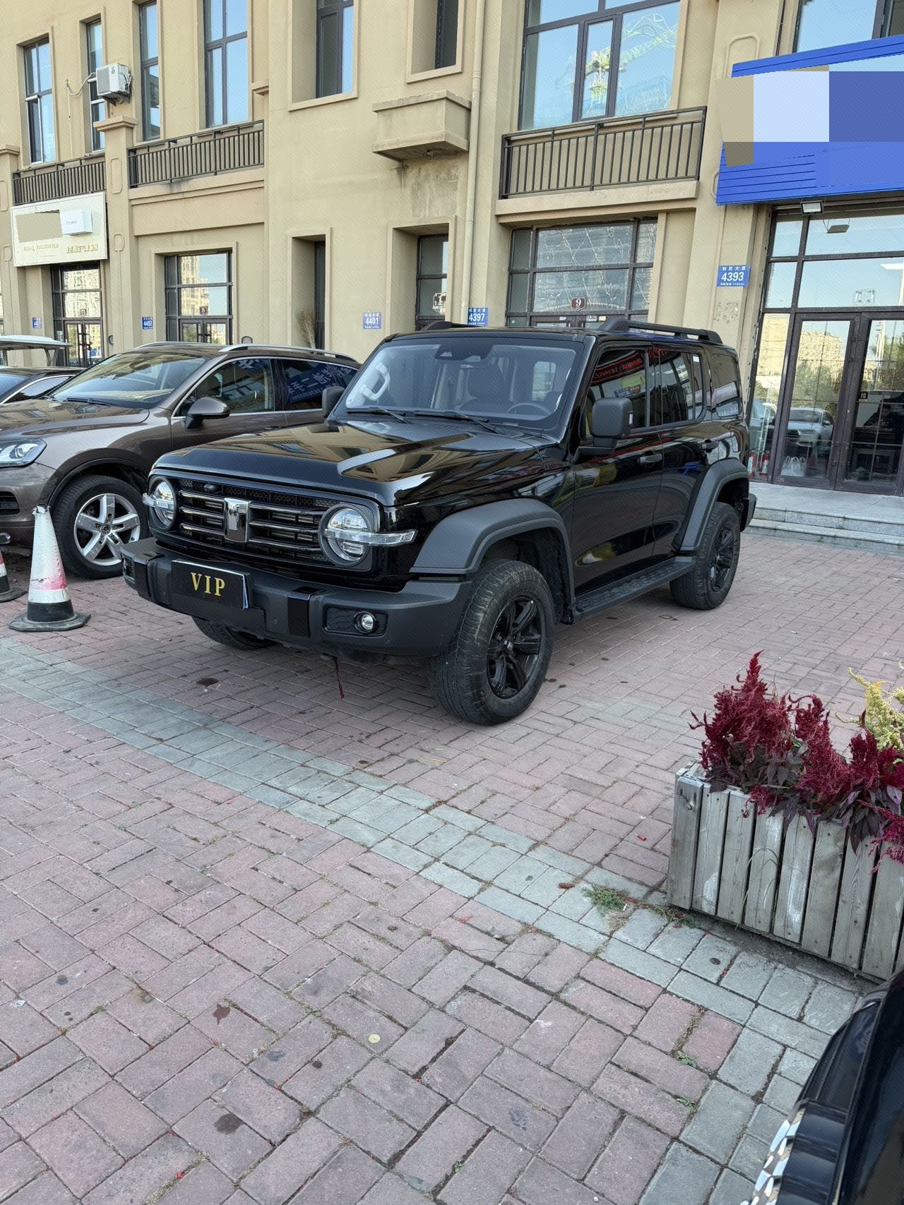TANK 2023 Tank 300 2.0T Off-Road Edition: The Conqueror