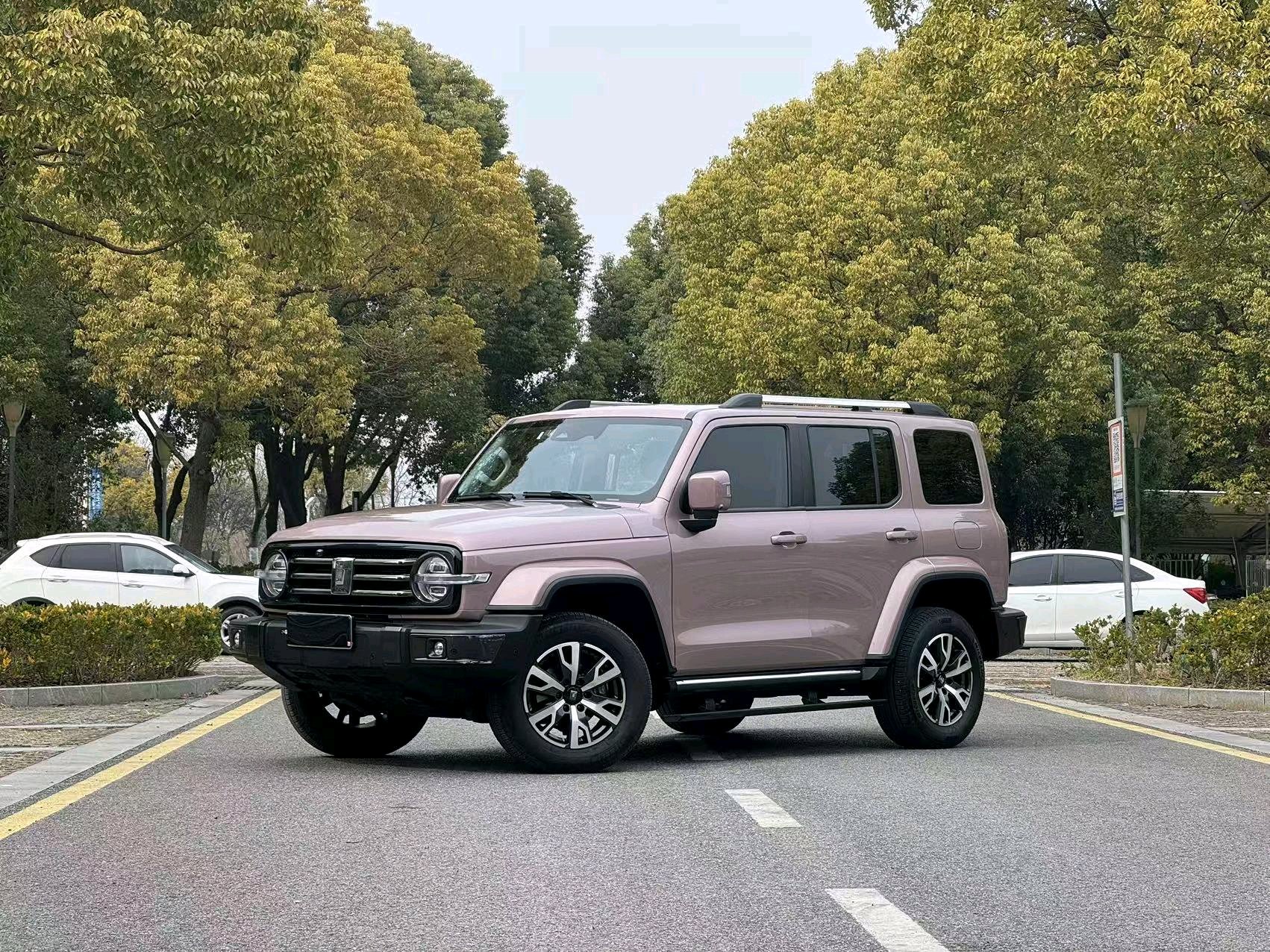 TANK 2022 Tank 300 2.0T Border Limited Edition
