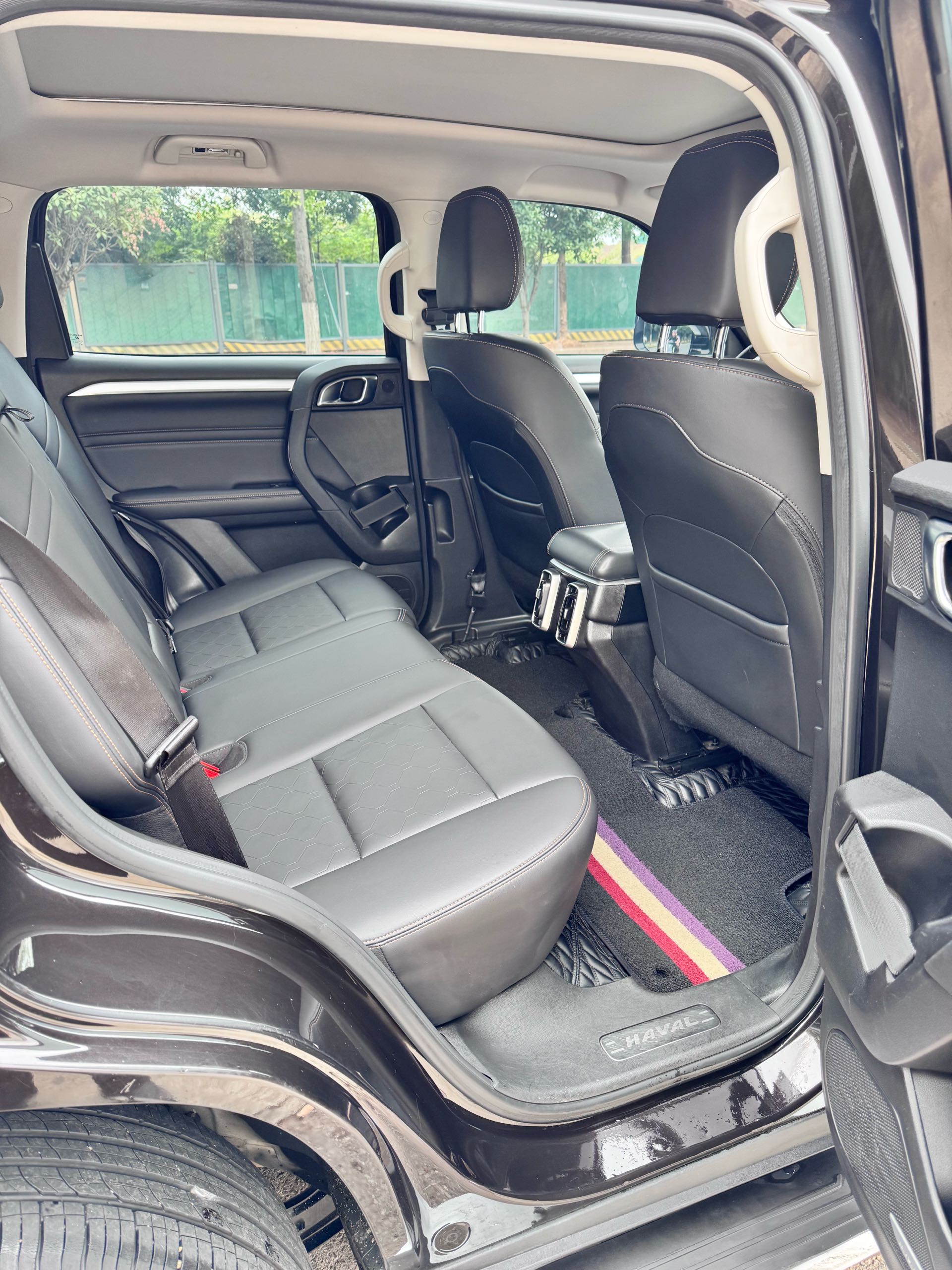 Foto del Haval Dargo Big Dog 1.5T Border Collie “Wang Cai” Edition 5