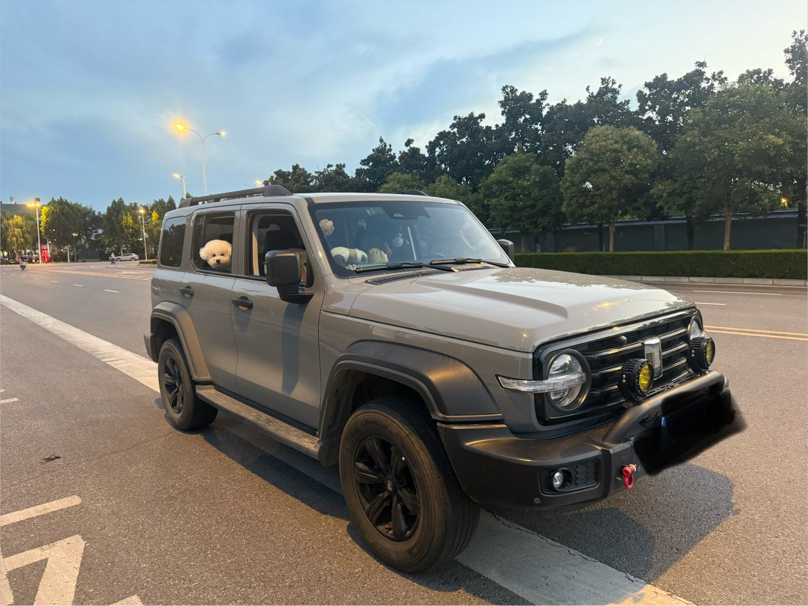 TANK Tank 300 2.0T Off-Road Edition Conqueror photo 3