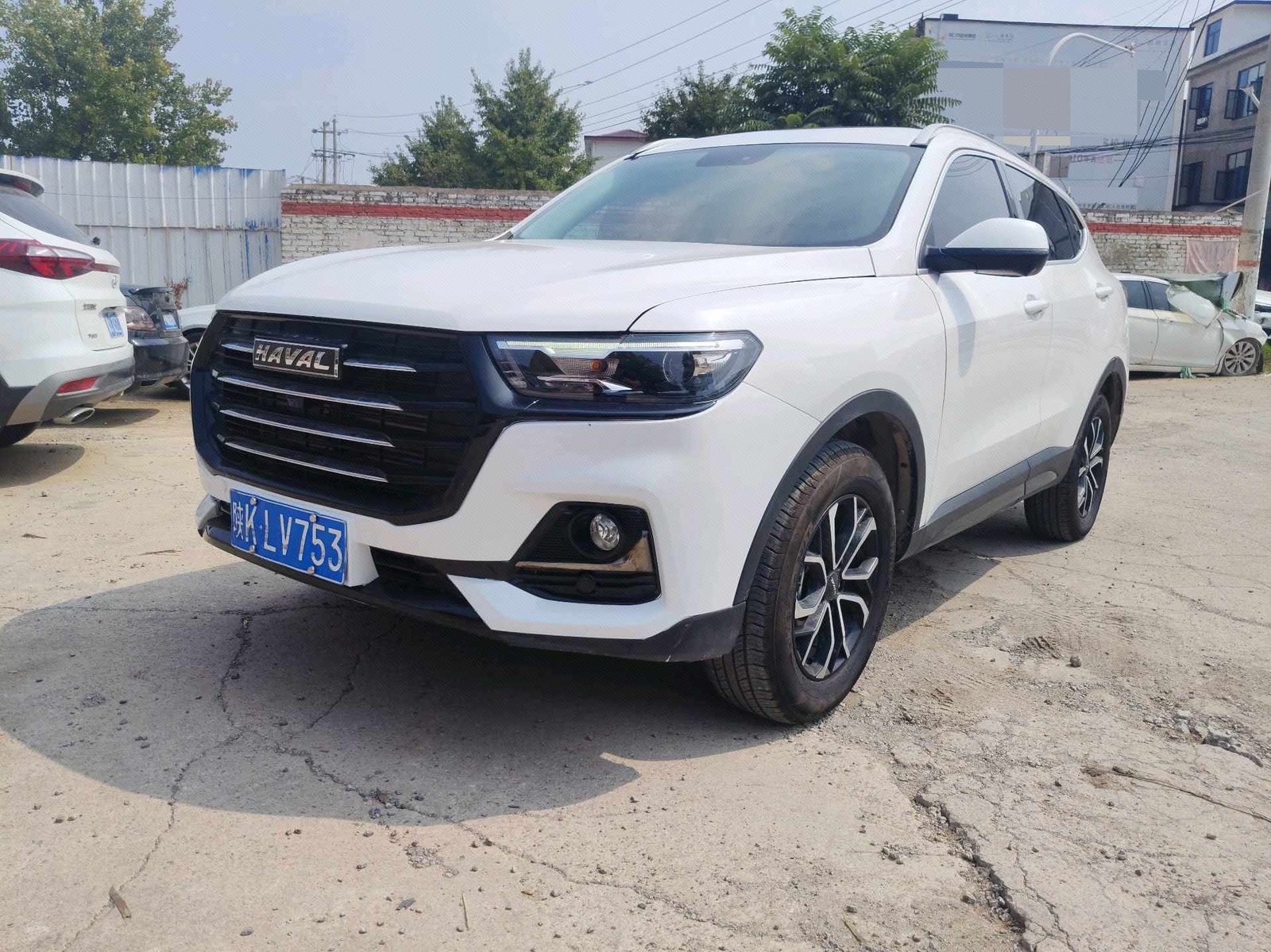 Haval 2023 H6 1.5T National Trend Edition Champion Version