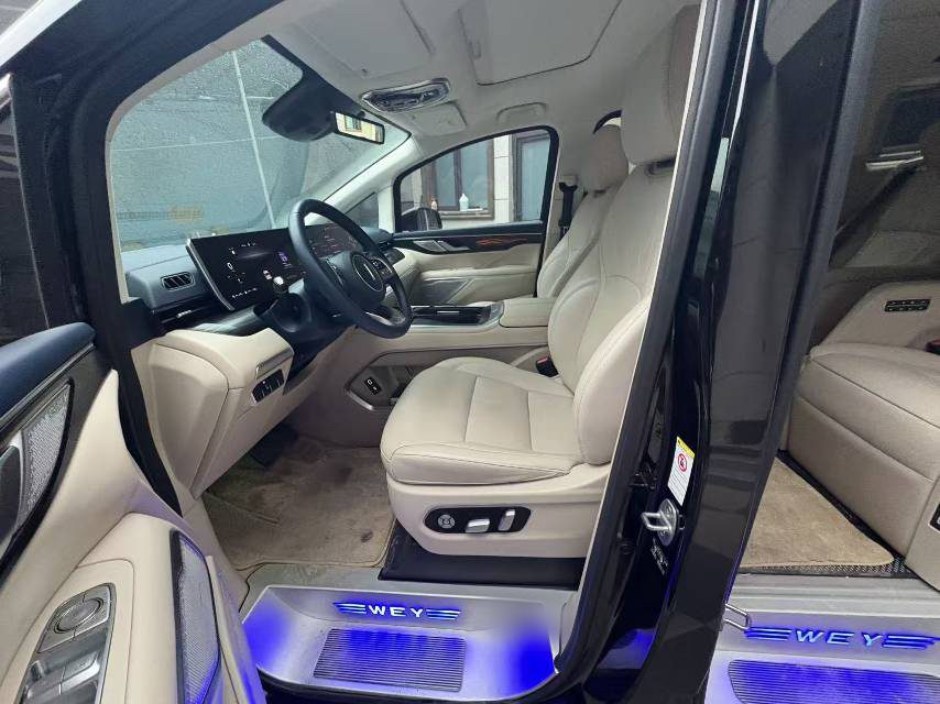 WEY Gaoshan PHEV 1.5T Four-Wheel-Drive Flagship Edition fotoğraf 2