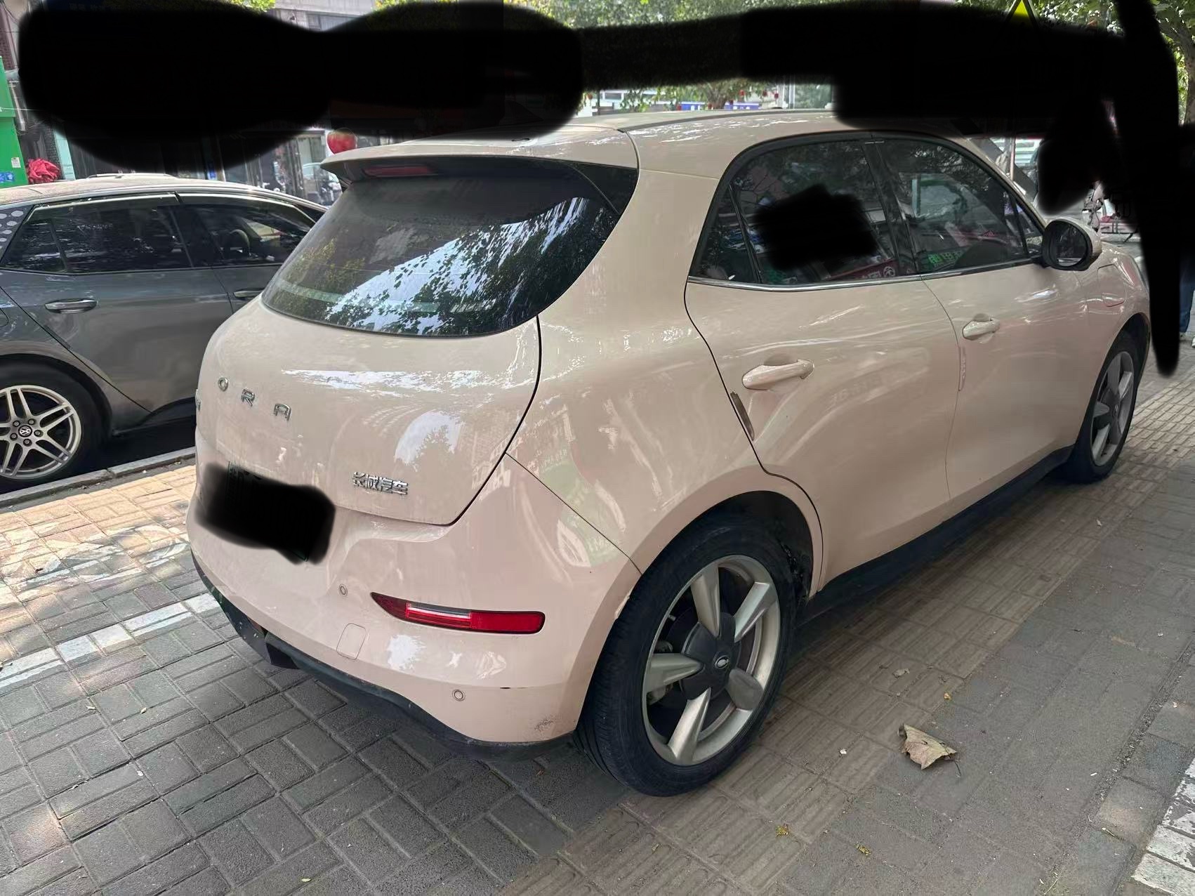 ORA Good Cat Morandi Edition, 400 km Standard Range, Prestige Model, Lithium Iron Phosphate foto 5