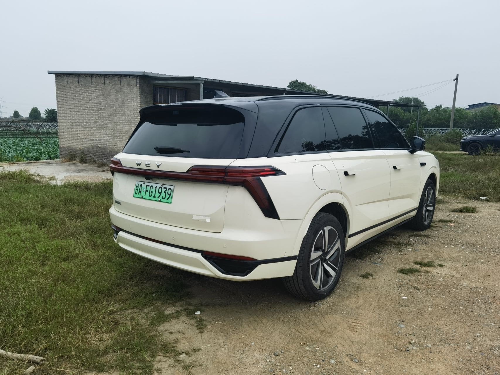 صورة WEY Blue Mountain DHT Lanshan DHT 1.5T Smart Advanced Edition All-Wheel Drive Max رقم 4