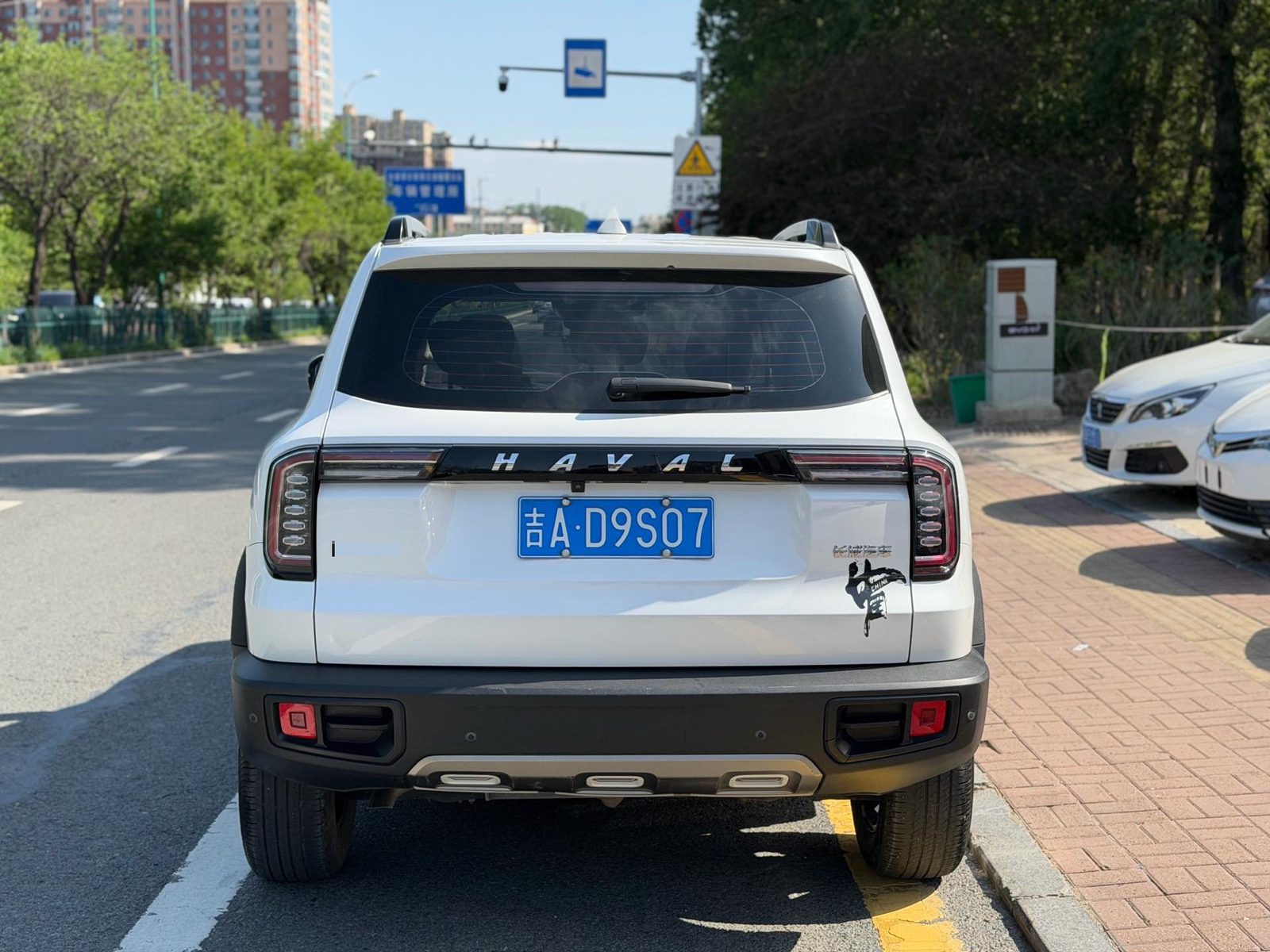 Фото Haval Dargo Big Dog 1.5T Border Collie “Wang Cai” Edition — 4