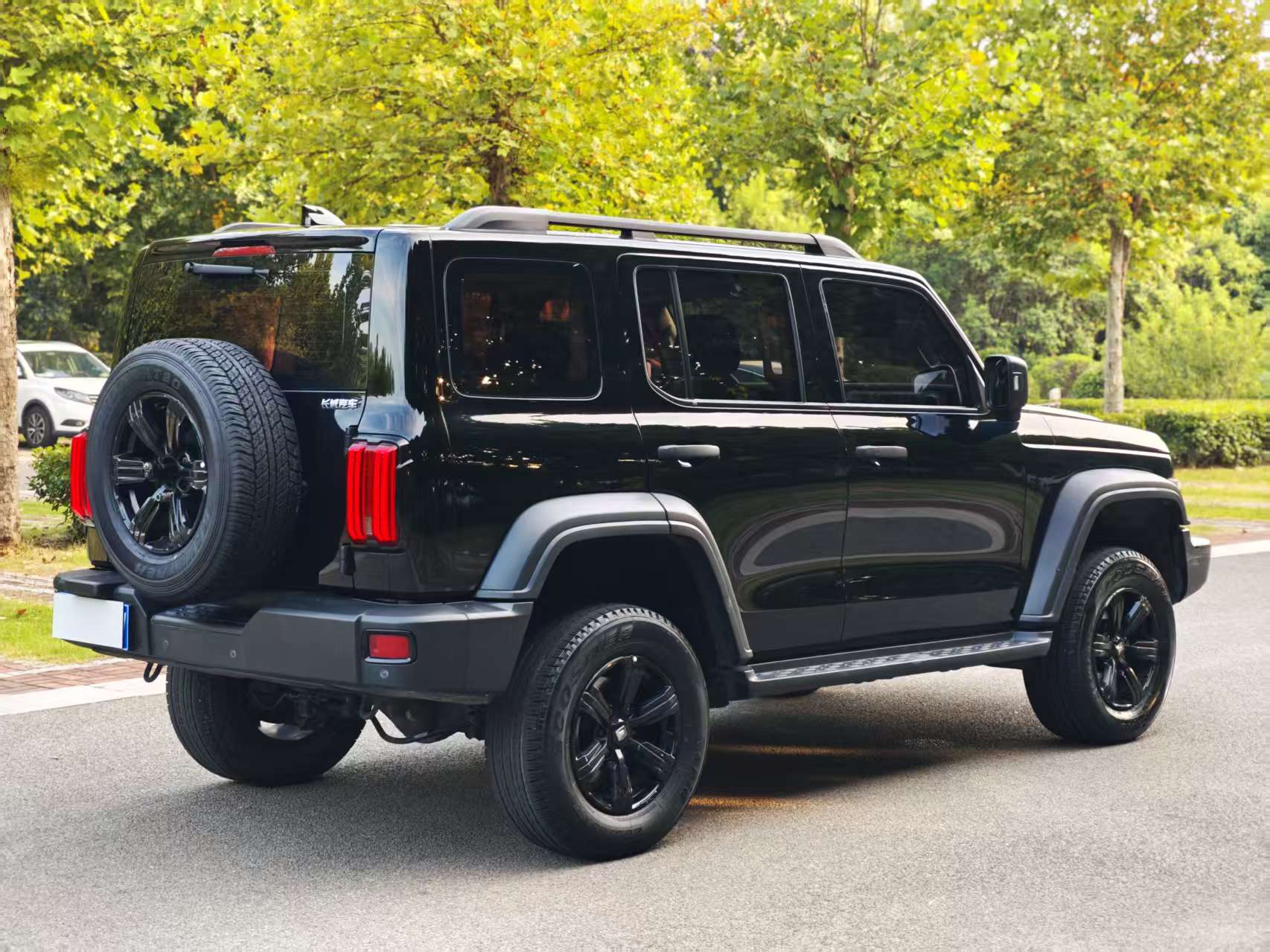 TANK Tank 300 2.0T Off-Road Edition: The Conqueror photo 4