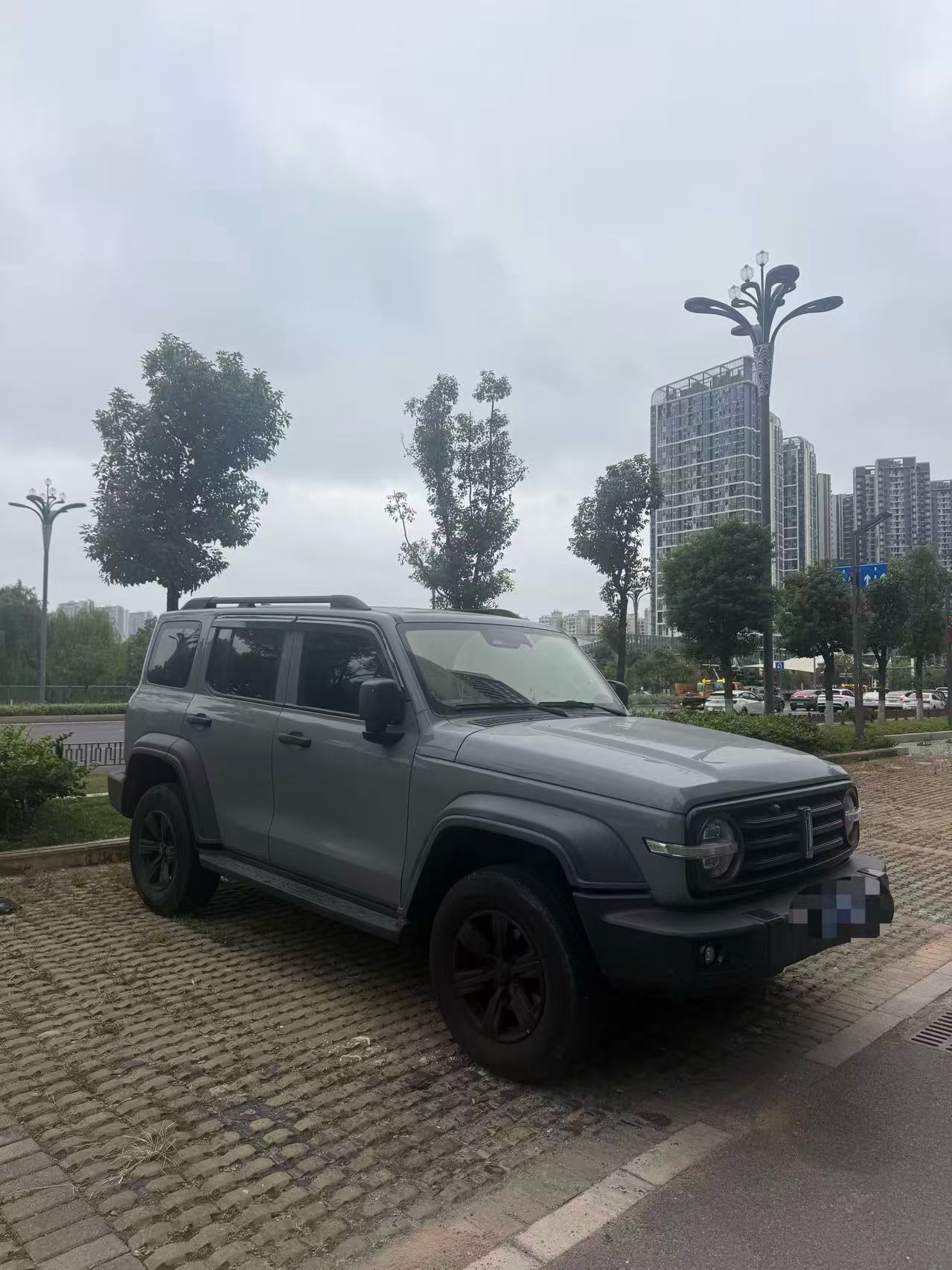 TANK Tank 300 2.0T Off-Road Edition Conqueror photo 3