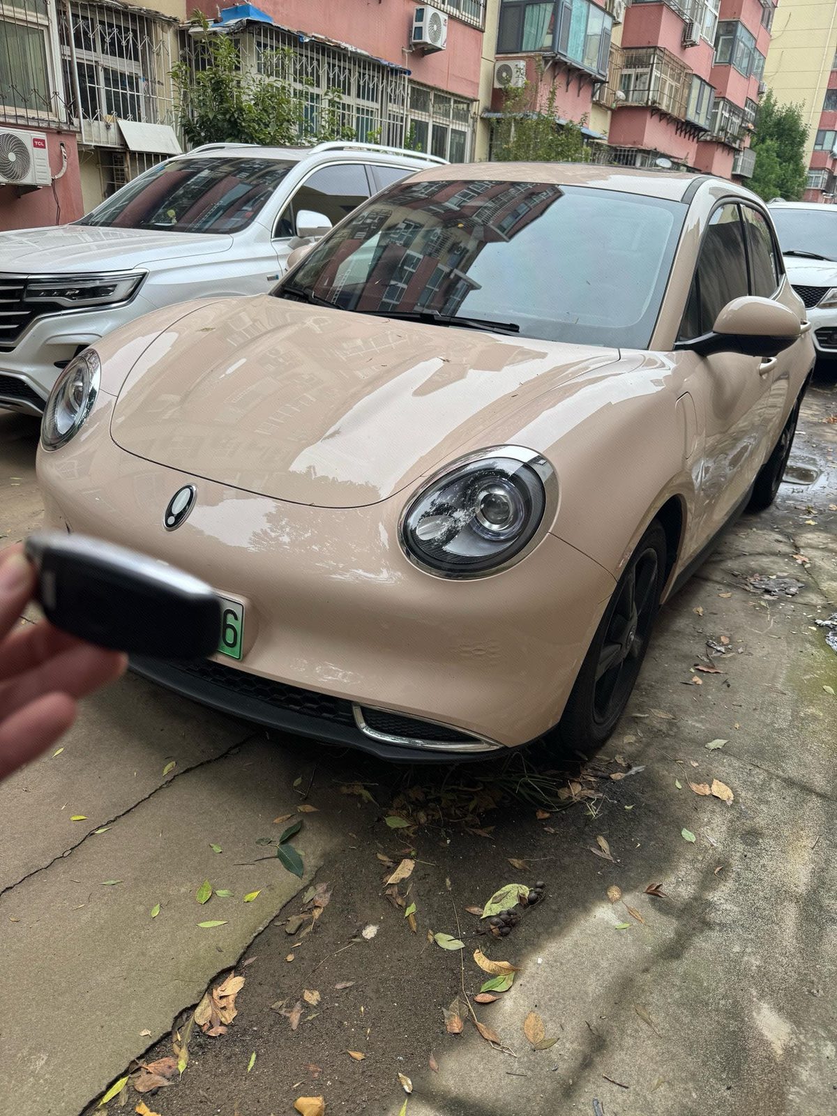 ORA 2024 Good Cat 501km Luxury Model