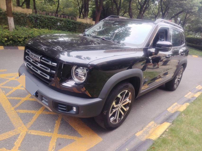 Haval Dargo 2021 Big Dog 1.5T Border Collie “Wang Cai” Edition