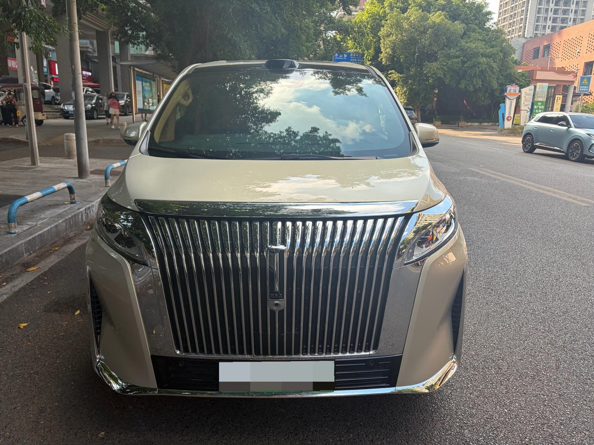 Фото WEY Gaoshan 8 Hi4 1.5T Four-Wheel Drive Version — 3