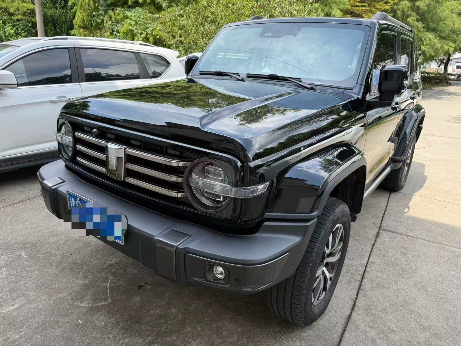 TANK 2023 Tank 300 2.0T 200,000-Vehicle Commemorative Edition