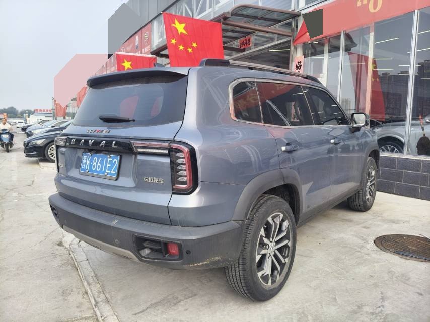 Foto del Haval Dargo Big Dog 1.5T Border Collie “Wang Cai” Edition 5
