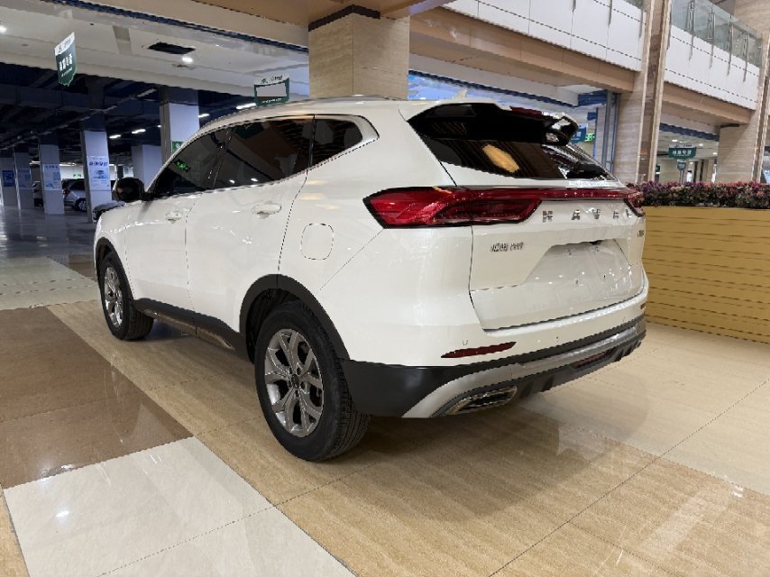 Haval H6 1.5T National Trend Edition Champion Edition photo 3