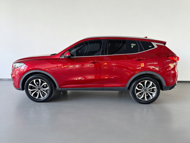 WEY VV6 2.0T Two-Wheel-Drive Zhixiang+ foto 3