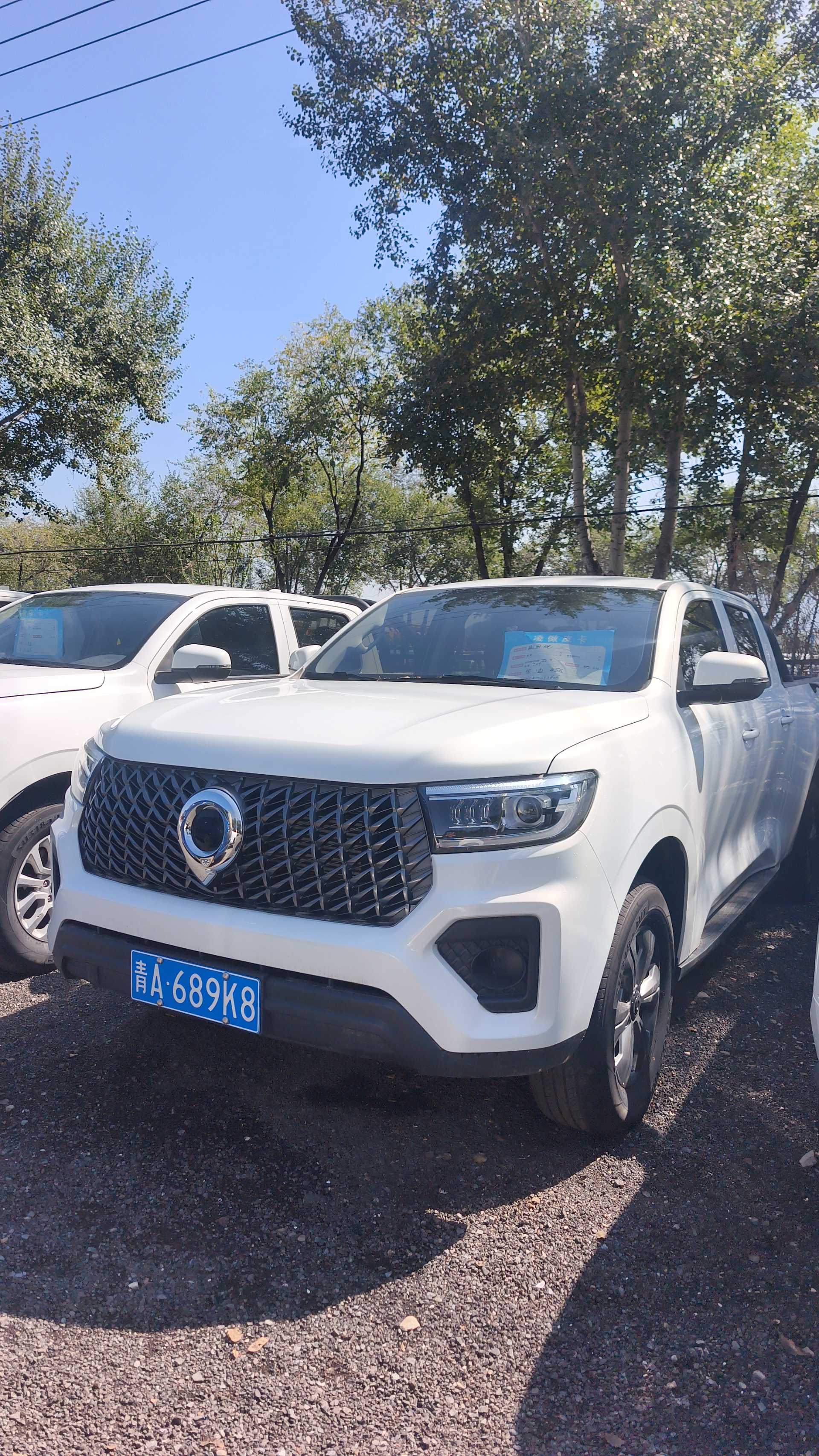 Great Wall POER 2023 Cannon 2.0T Commercial Diesel 4WD Elite Long Bed