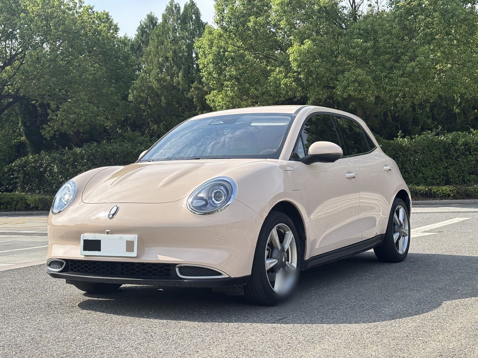 ORA 2023 Good Cat 401 km Standard Range Luxury Model – Lithium Iron Phosphate