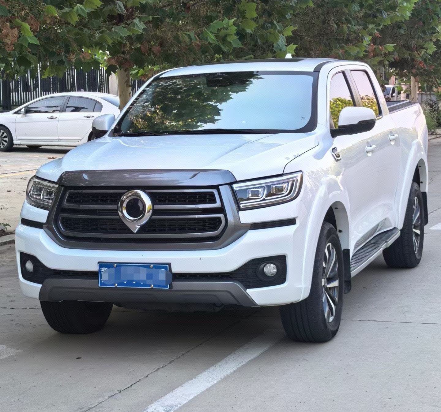 Great Wall POER 2022 Cannon 2.0T Global Passenger Version Diesel Four-Wheel Drive Comfort Model with Standard Bed and Tow Package