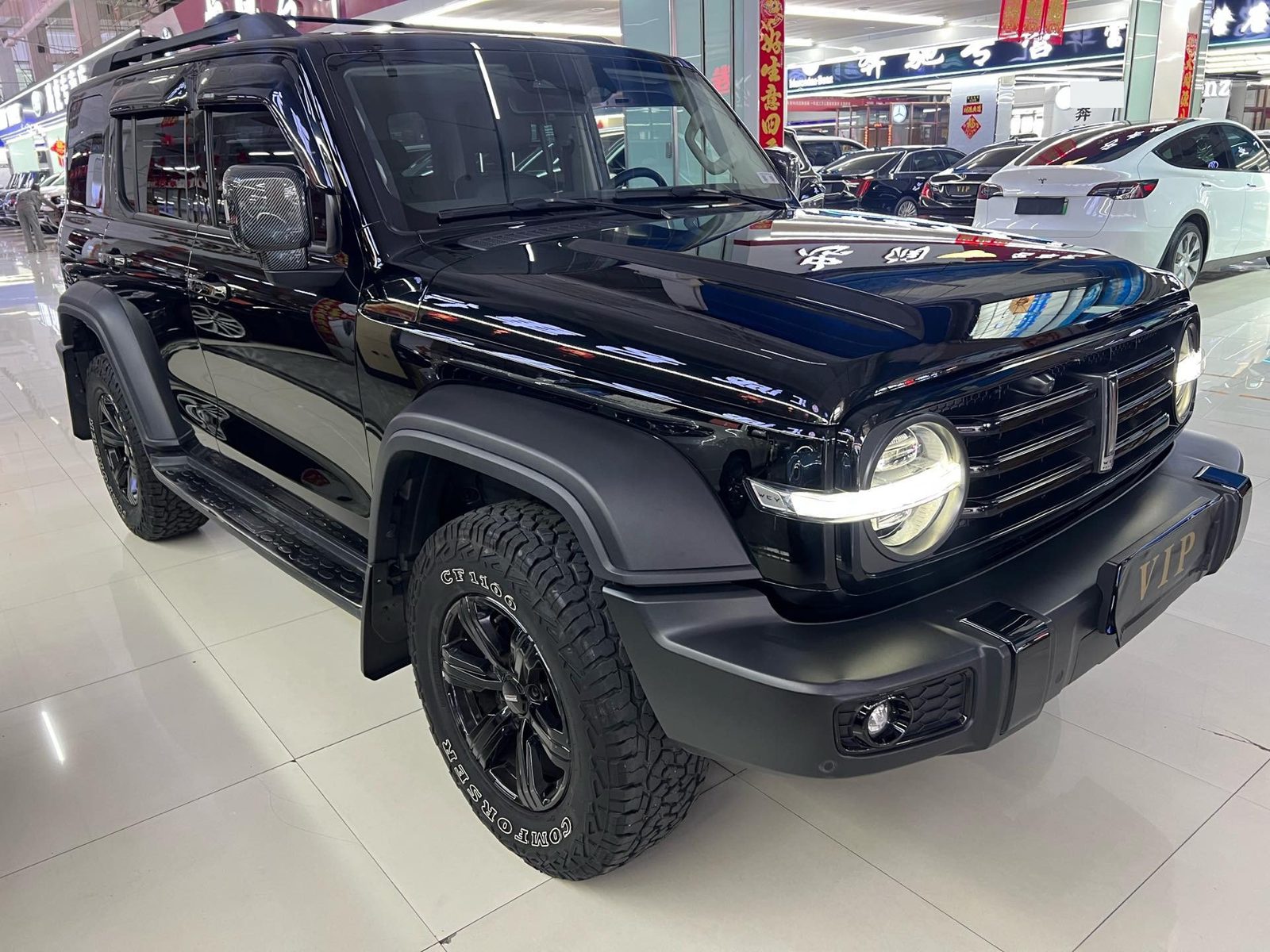 TANK Tank 300 2.0T Off-Road Edition Challenger photo 3