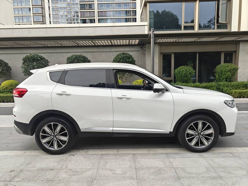 صورة Haval H6 1.5T National Trend Edition Champion Edition رقم 4
