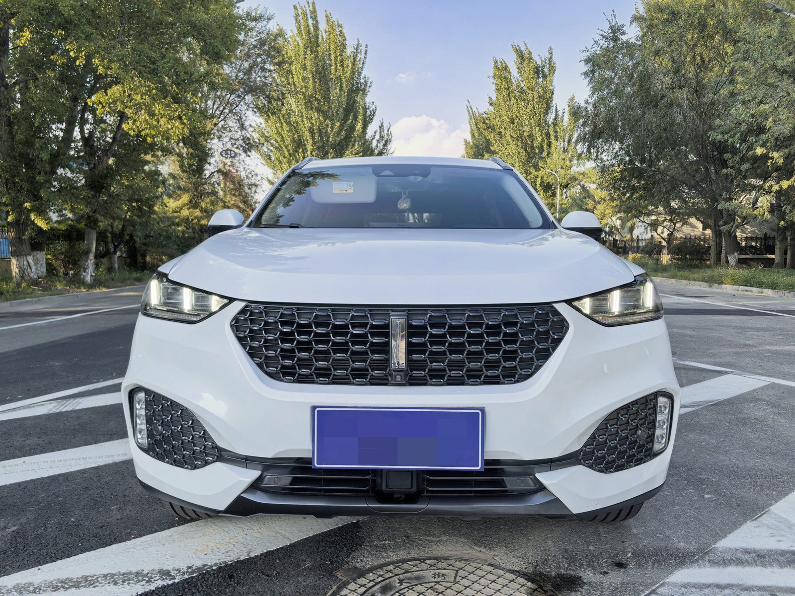 Foto del WEY VV6 2.0T AWD Intelligent Drive+ 2