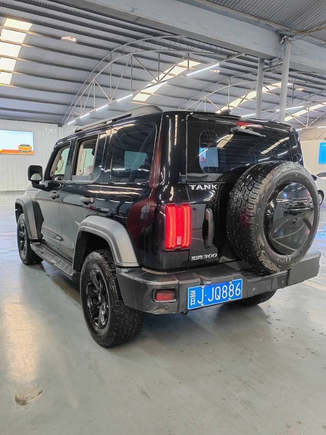 TANK 2021 Tank 300 2.0T Off-Road Edition Conqueror photo 5