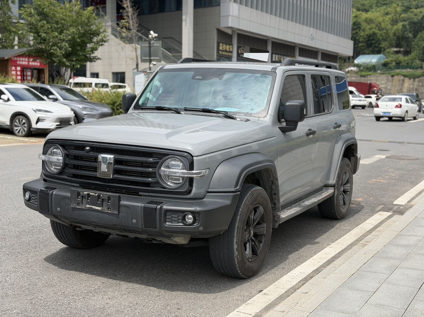 TANK 2021 Tank 300 2.0T Off-Road Edition Conqueror