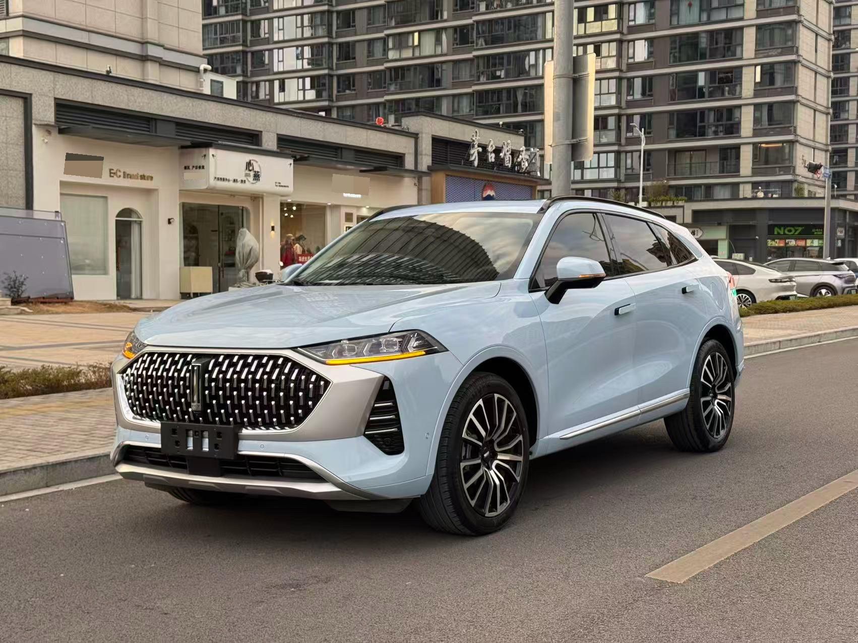WEY 2021 Mocha 48V 2.0T AWD Special Edition